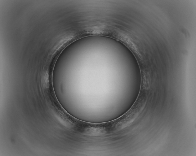 X0000112500251200908171315