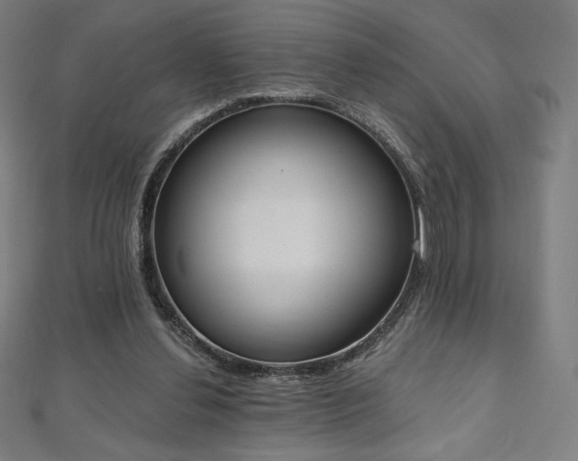 X0000112500252200908171315