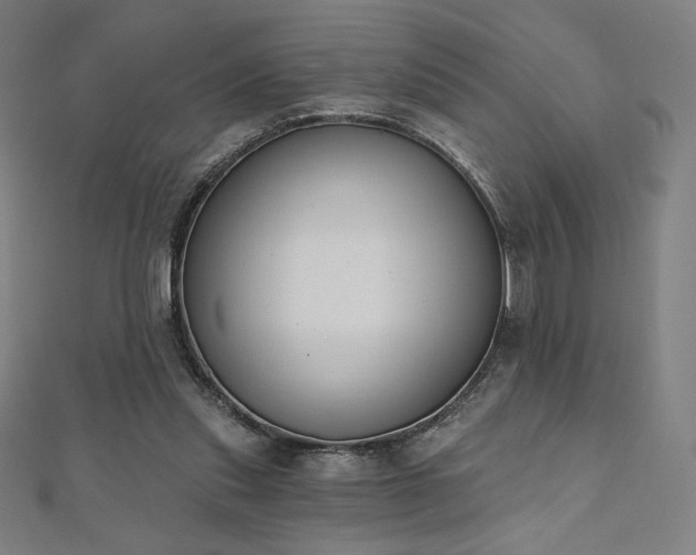 X0000112500253200908171315