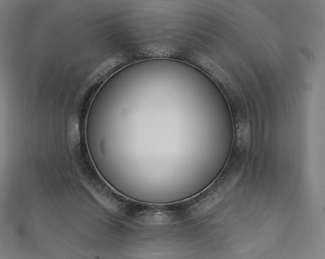 X0000112500254200908171315