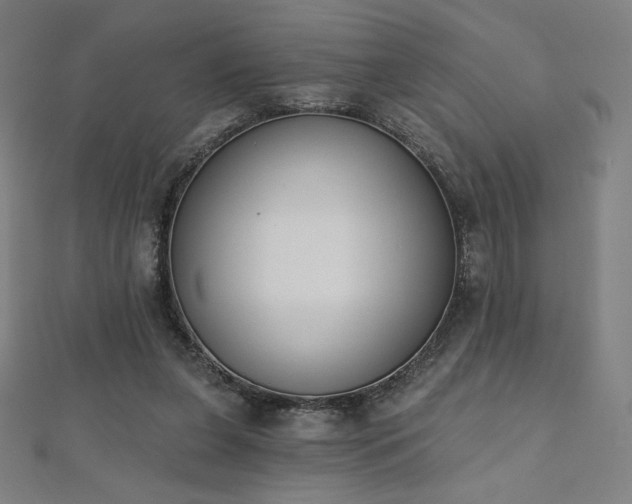 X0000112500255200908171315