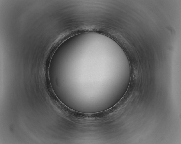 X0000112500256200908171315