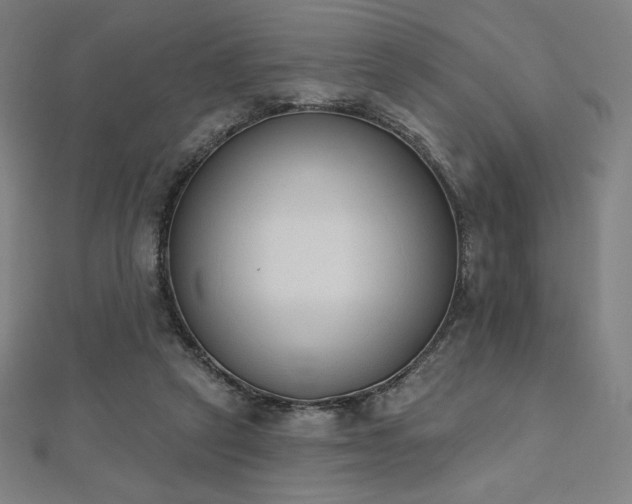 X0000112500257200908171316