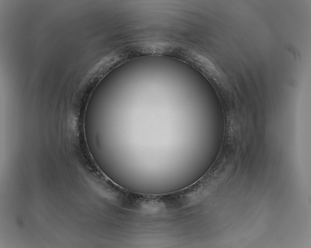 X0000112500258200908171316