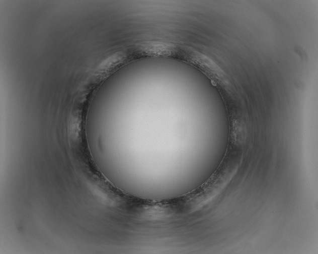 X0000112500259200908171316