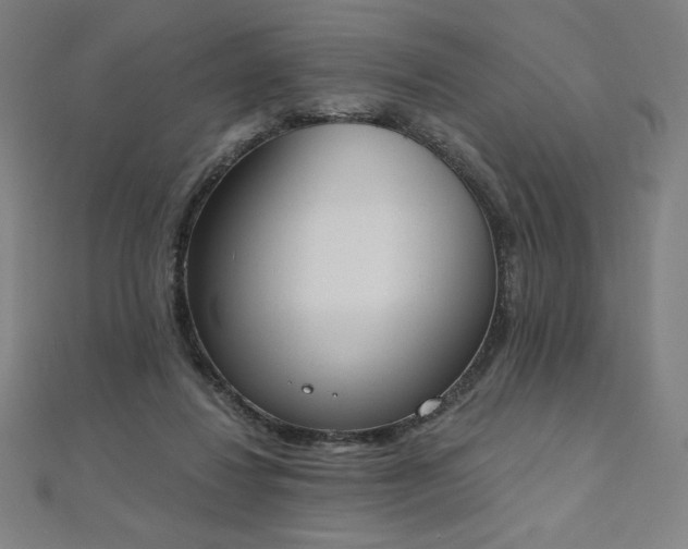 X0000112500260200908171316