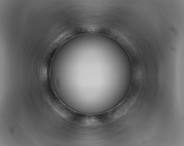 X0000112500262200908171316