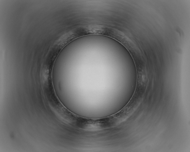 X0000112500263200908171316