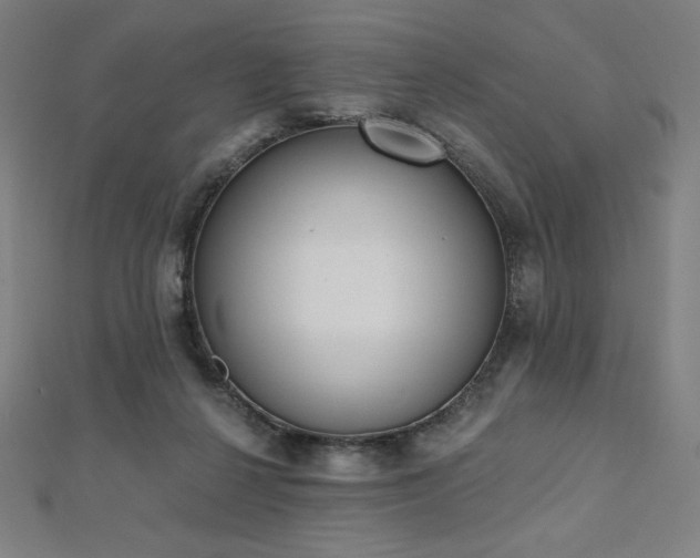 X0000112500264200908171316