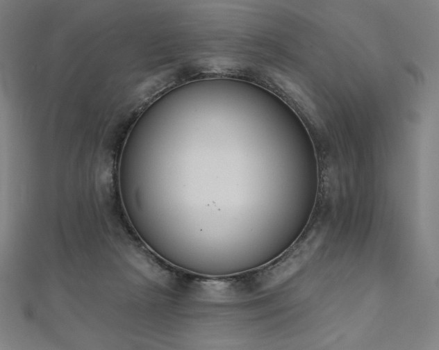 X0000112500265200908171316