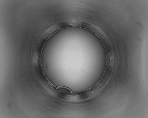 X0000112500266200908171316