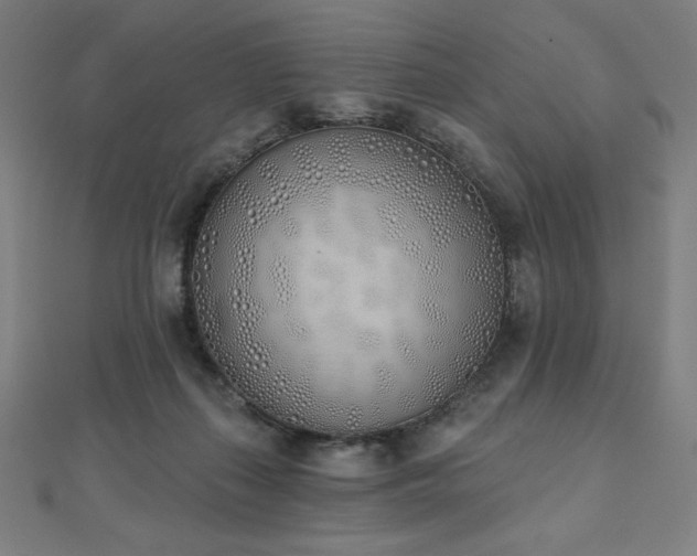 X0000112500267200908171316