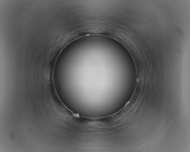 X0000112500268200908171316