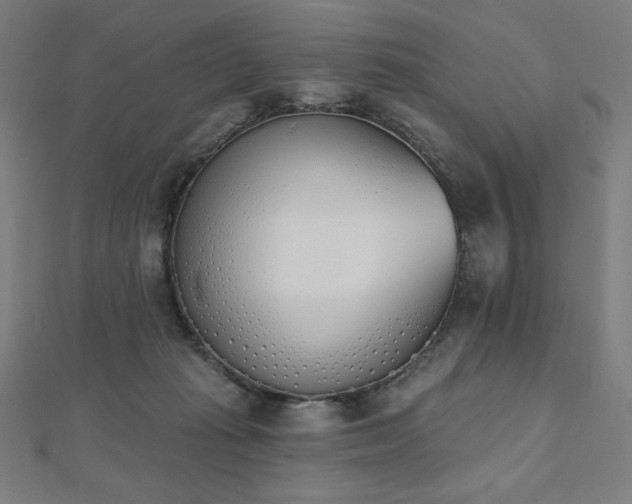 X0000112500269200908171316