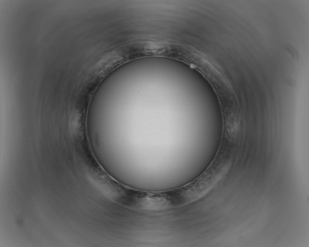 X0000112500270200908171316