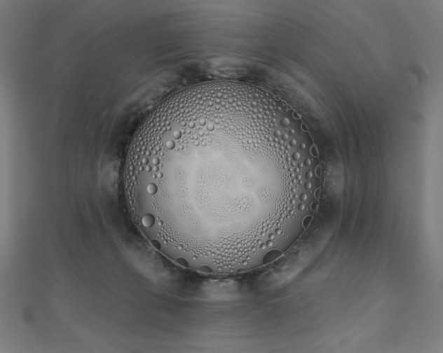 X0000112500271200908171316