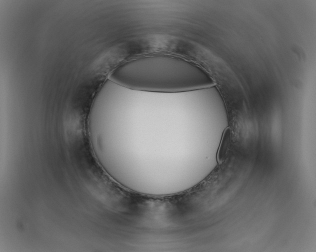 X0000112500272200908171316