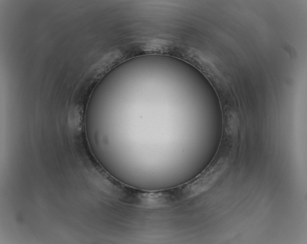 X0000112500273200908171316