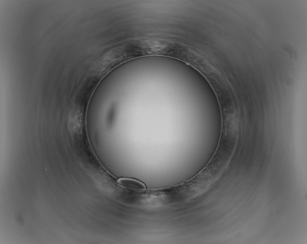 X0000112500274200908171316