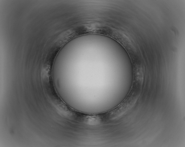 X0000112500275200908171316