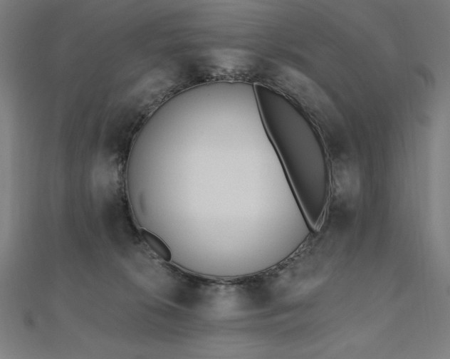 X0000112500276200908171316