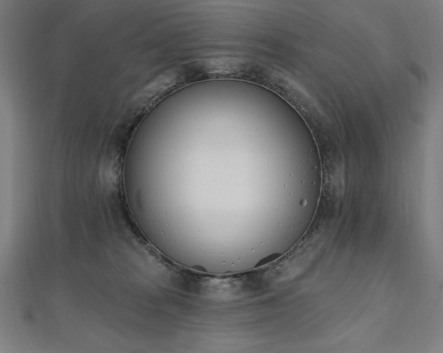 X0000112500277200908171316