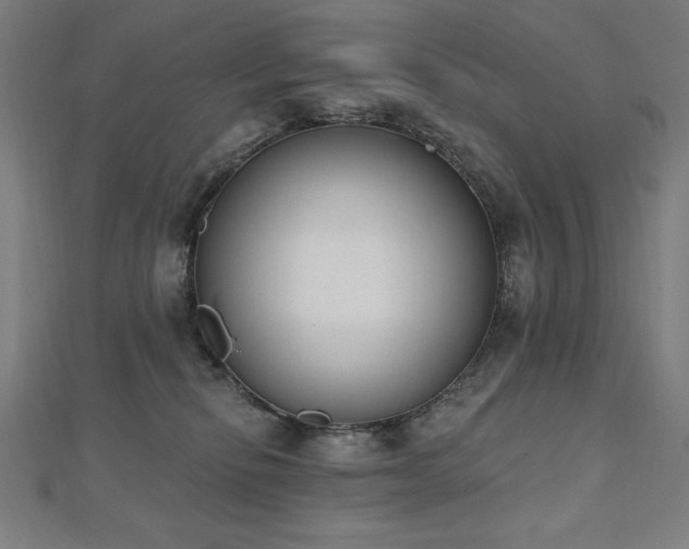 X0000112500278200908171316