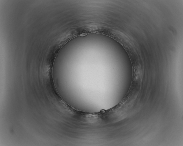 X0000112500279200908171316