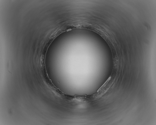 X0000112500280200908171316