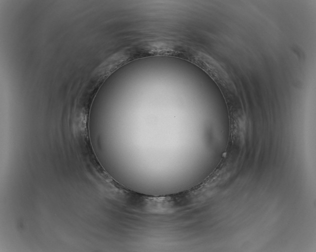 X0000112500281200908171316