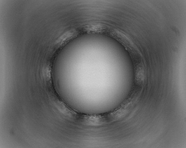 X0000112500282200908171316