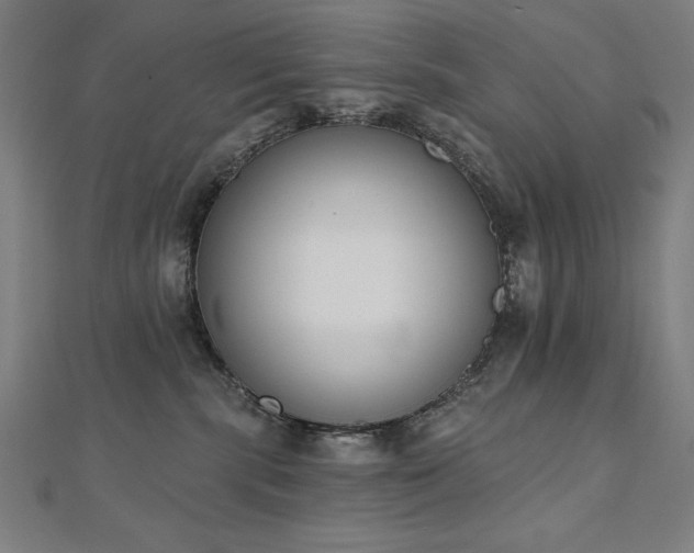 X0000112500283200908171316