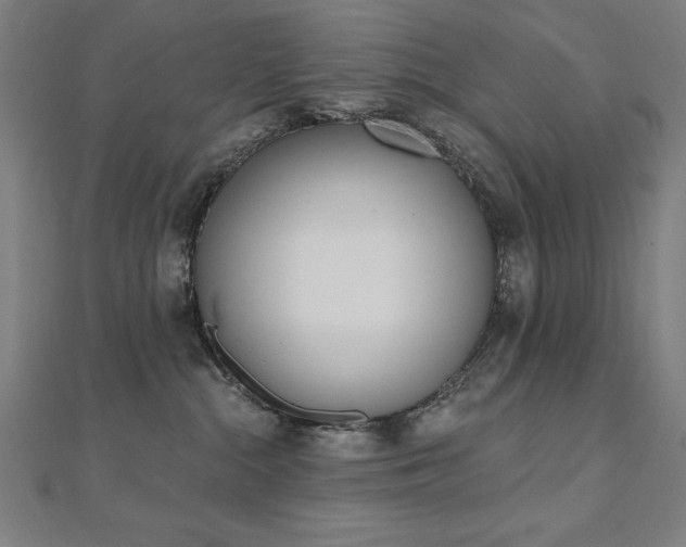 X0000112500284200908171316