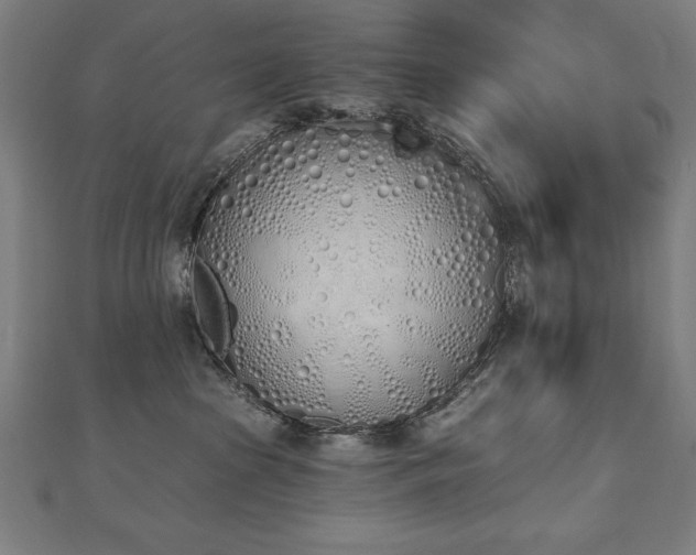 X0000112500285200908171316