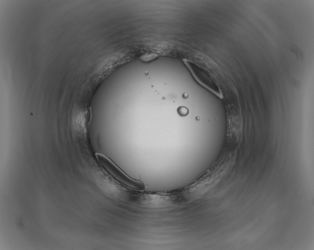 X0000112500286200908171316