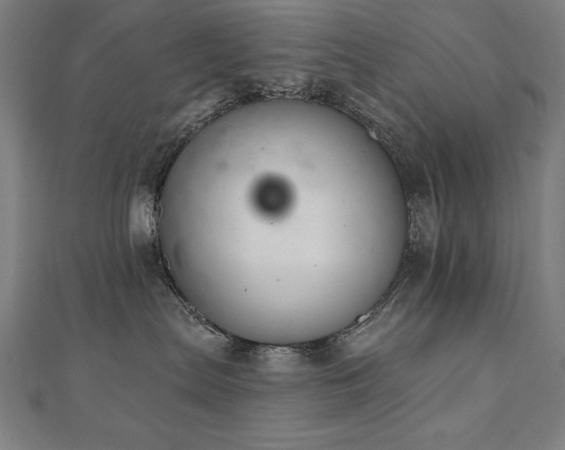 X0000112500287200908171316