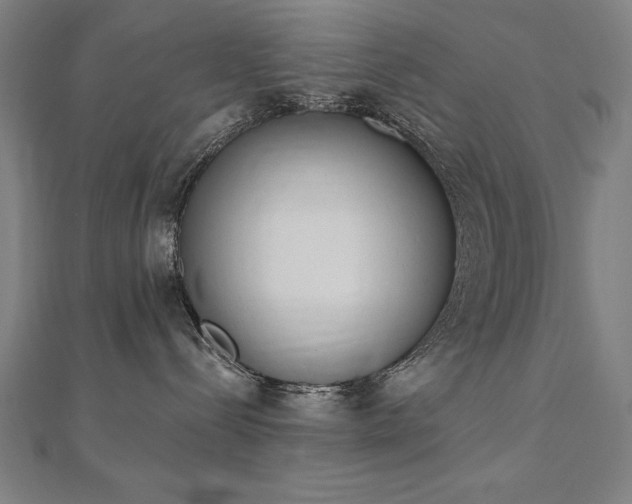 X0000112500288200908171316