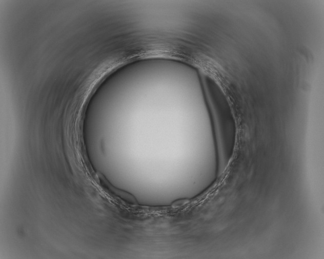 X0000112500289200908171315