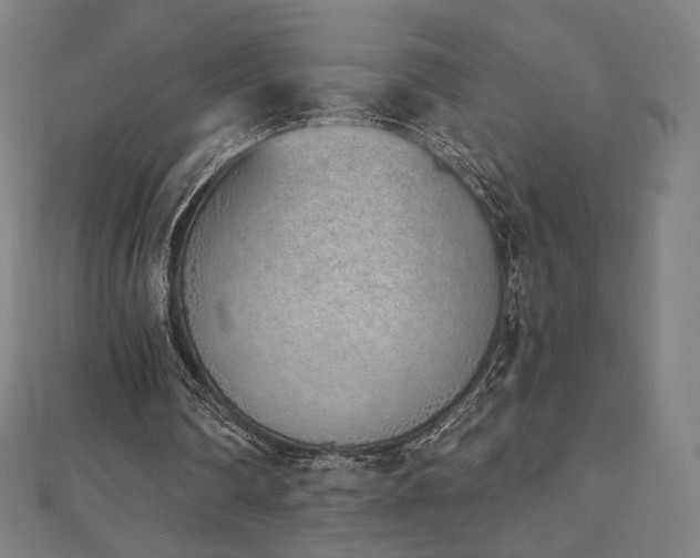 X0000112500290200908171315