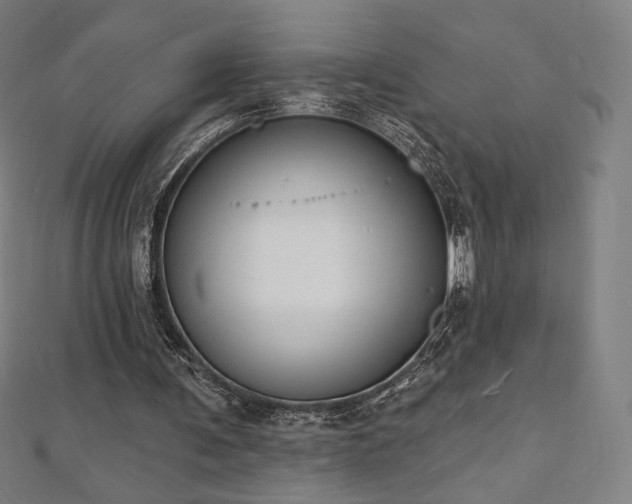 X0000112500291200908171315