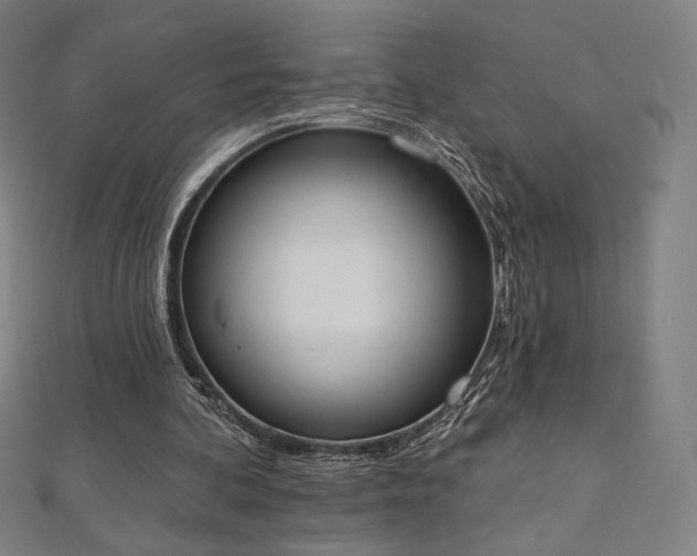 X0000112500292200908171315