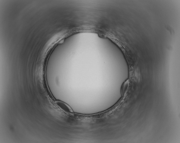 X0000112500293200908171315