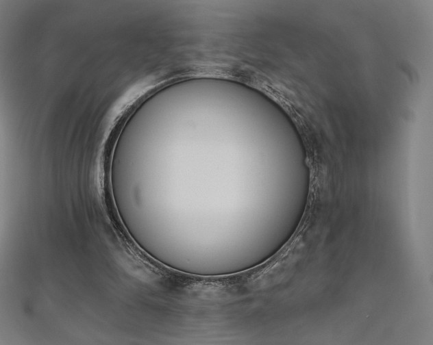 X0000112500294200908171315