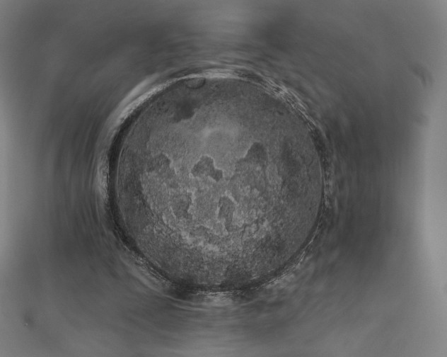 X0000112500295200908171315