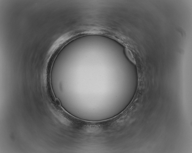 X0000112500296200908171315