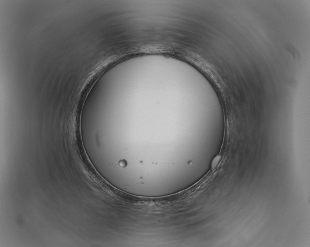 X0000112500297200908171315