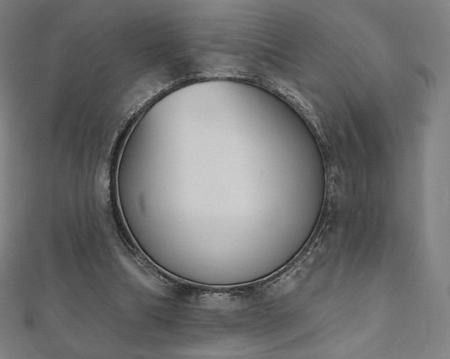 X0000112500298200908171315