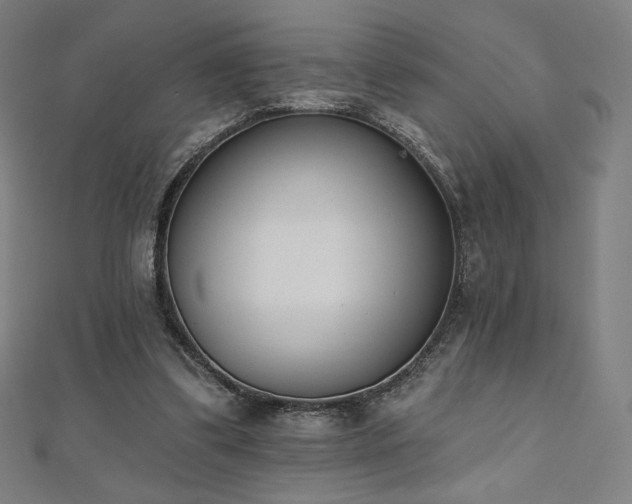 X0000112500299200908171315