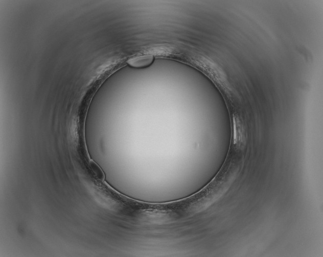 X0000112500300200908171315