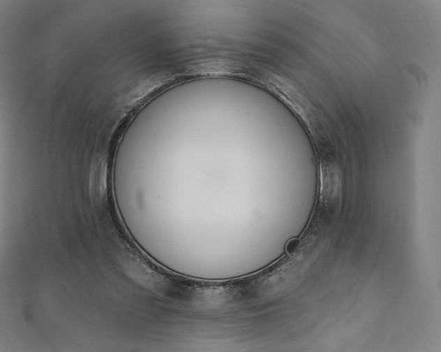 X0000112500301200908171315